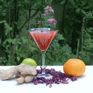 cocktail bissap gingembre orange