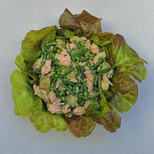Salade de thon & légumes marinés